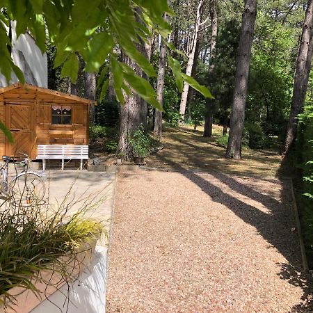 Maison Sapinettes Quend Luaran gambar